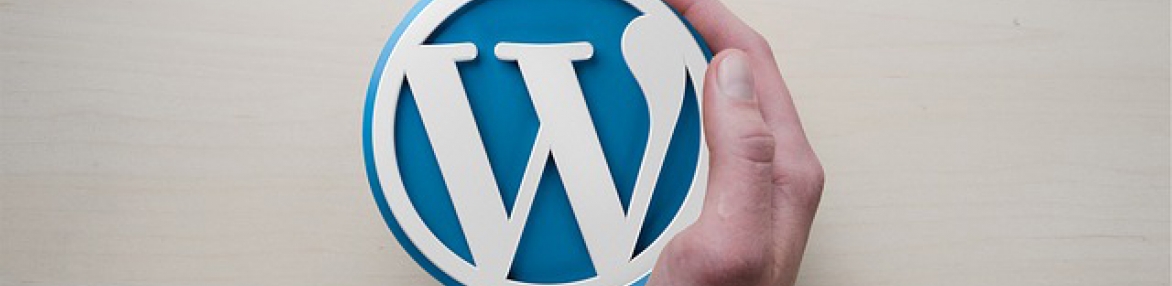 Курс “Създаване на сайтове с WordPress” WordPress за начинаещи + основи на SEO Оптимизацията